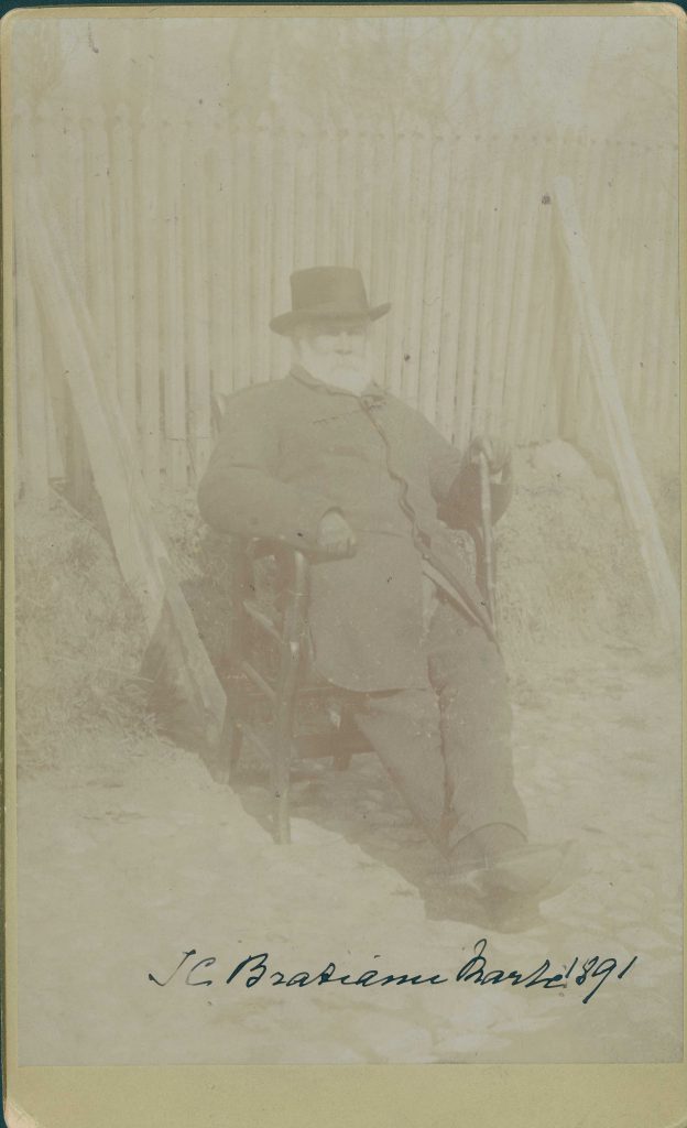 I.C. Brătianu, martie, 1891