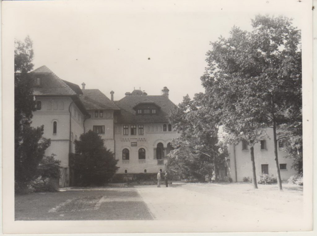 Casa Ion I. C. Brătianu - vedere dinspre gradină, Fototeca INP, 1964