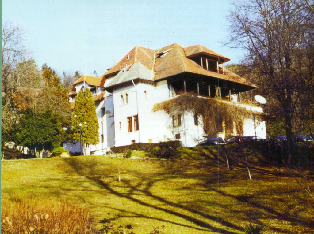 Vila Florica, 2000